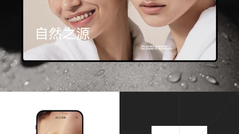 外贸网站购物车功能怎么选
